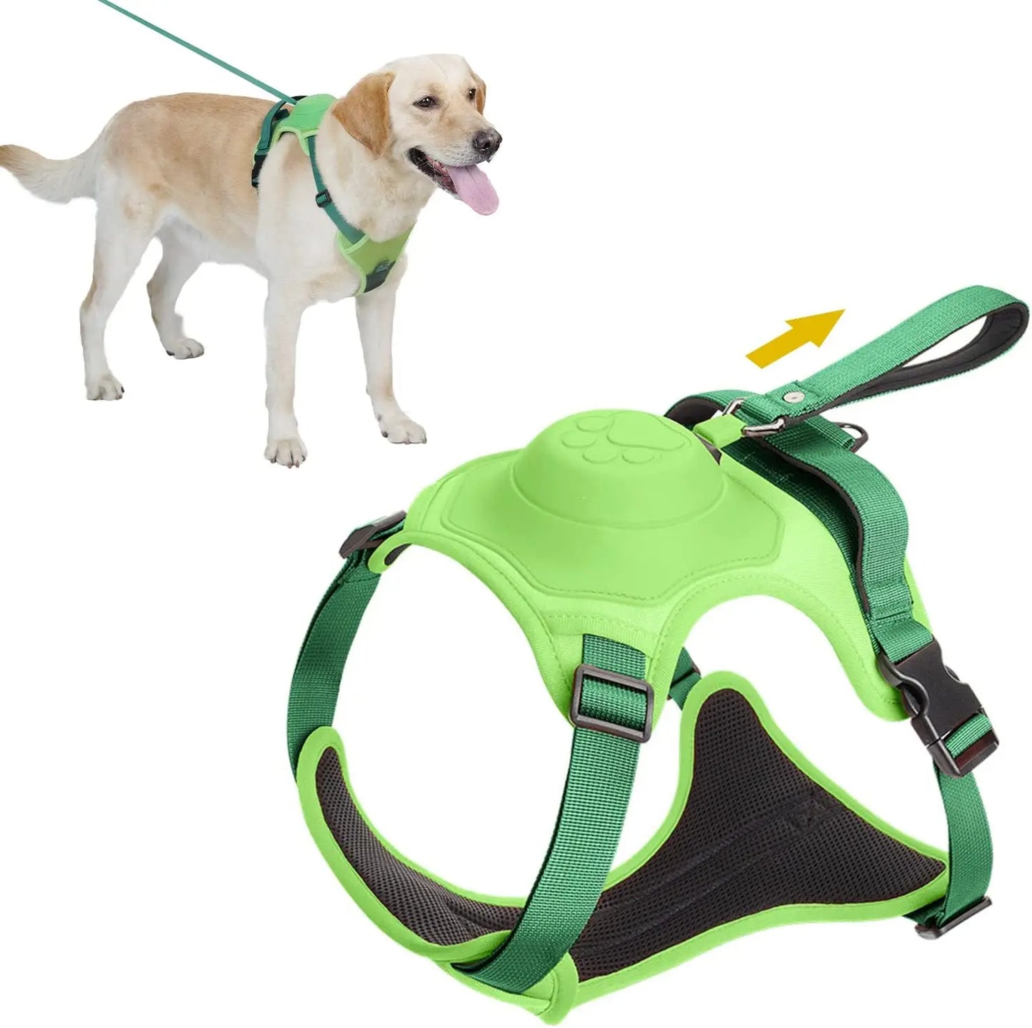 Dog Harness and Automatic Retractable Leash Kit